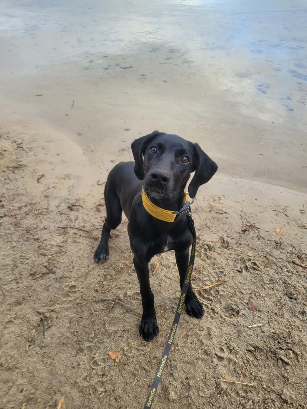 Blanding af racer Hyper billede 1