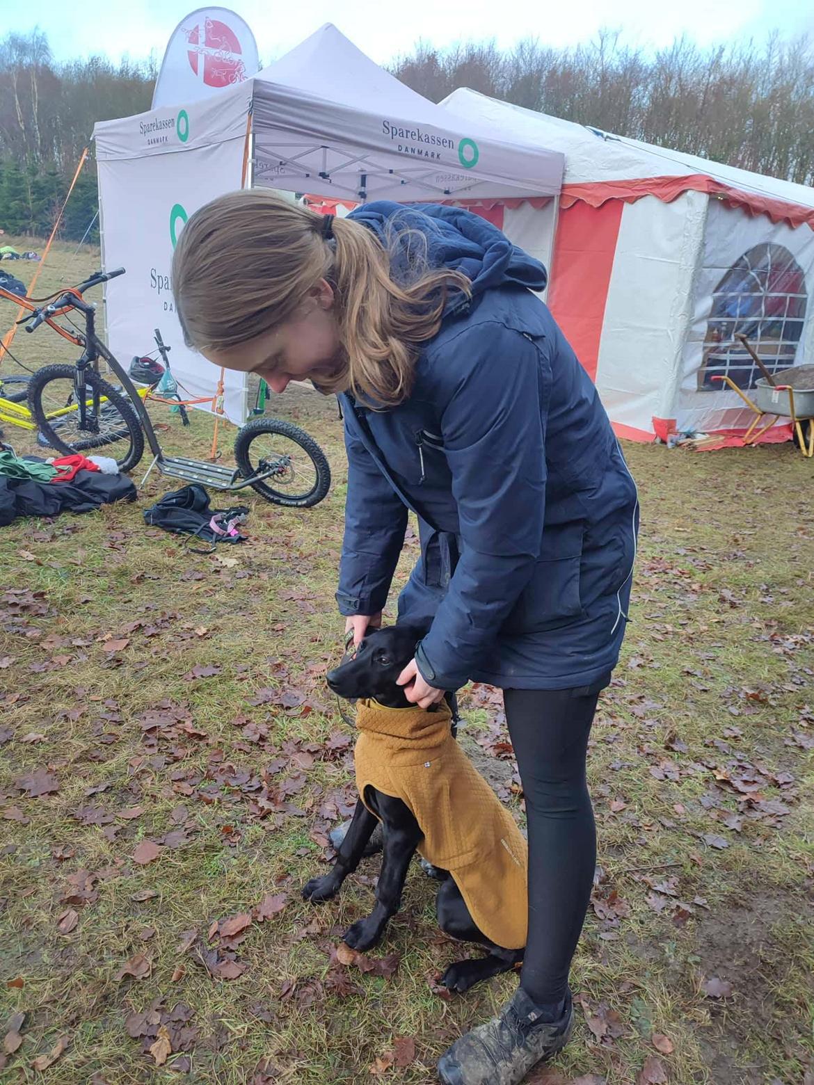 Blanding af racer Hyper billede 5