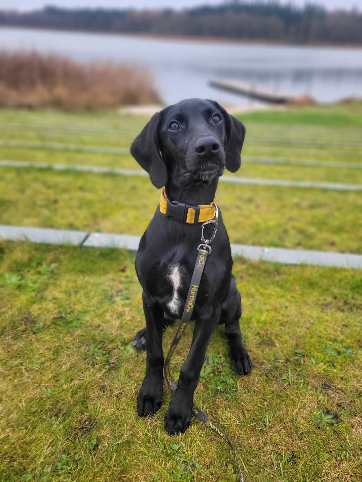 Blanding af racer Hyper billede 2