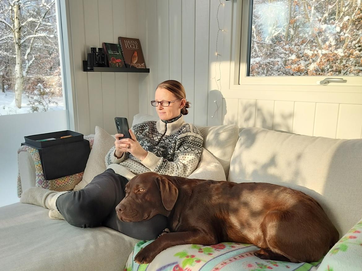 Labrador retriever Balder - 5. januar 2026 billede 45