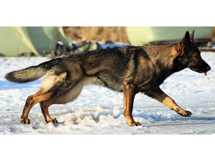 {{currentPhoto.altText}} billede {{currentPhoto.number}}