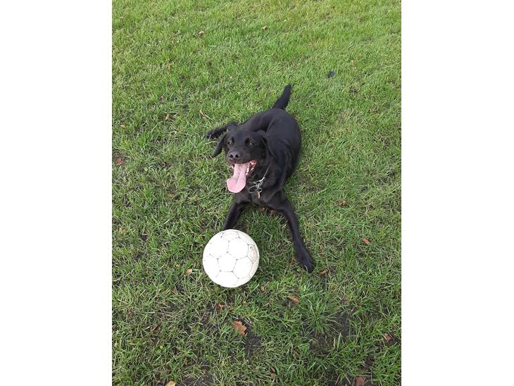 {{currentPhoto.altText}} billede {{currentPhoto.number}}