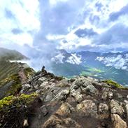 Hollandsk hyrdehund Jessie