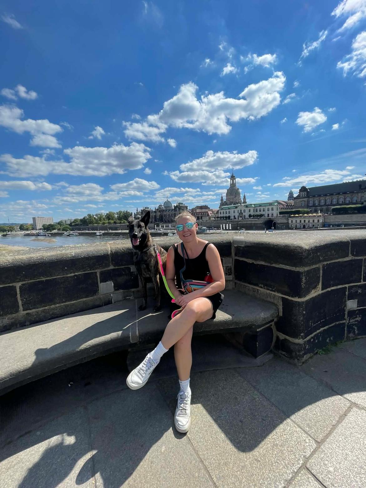 Hollandsk hyrdehund Jessie - En sød dame tog et billede af os i Dresden 2025 billede 16