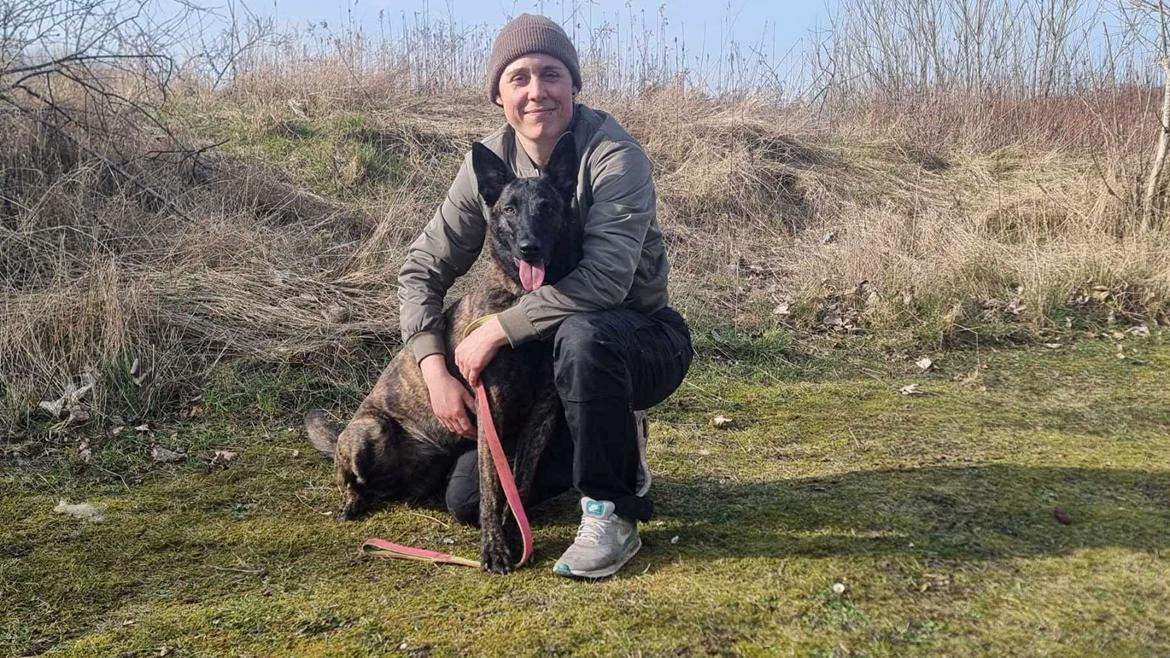 Hollandsk hyrdehund Jessie - Den dag hun bestod kåring marts 25 billede 23