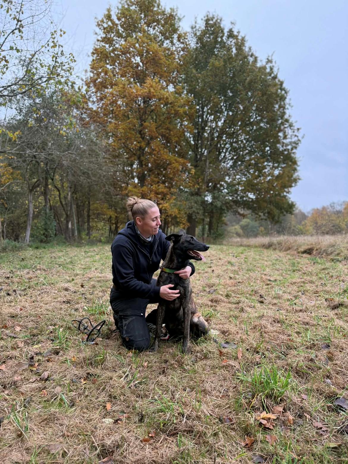 Hollandsk hyrdehund Jessie - Den dag Jessie blev patruljehund og jeg endnu en gang blev en meget stolt hundeejer Nov 25 billede 3