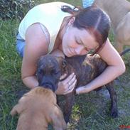 Blanding af racer Chico