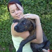 Blanding af racer Chico