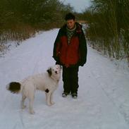 Blanding af racer Mox