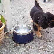 Blanding af racer Pippi