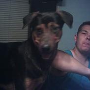 Blanding af racer TAYSON