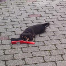 Blanding af racer Pippi