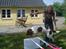 Engelsk springer spaniel jill - Min lille spring hund<3