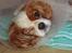 Cavalier king charles spaniel Chilli - CHILLI, INDEN VI VIDSTE HVAD DER VILLE KOMME HENDE IMØDE!!!!