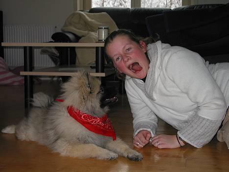 Keeshond Keeshos Buska - Hvor er hun skør.........Men hun er en dejlig faster. billede 13