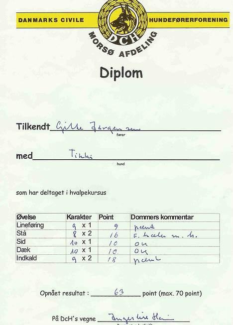 Blanding af racer Tikki billede 12