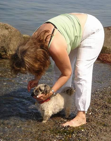 Blanding af racer Tiki *Død d.14-09-06* - Jeg døber dig i faderens..sønnens...og helligåndens navn. billede 12