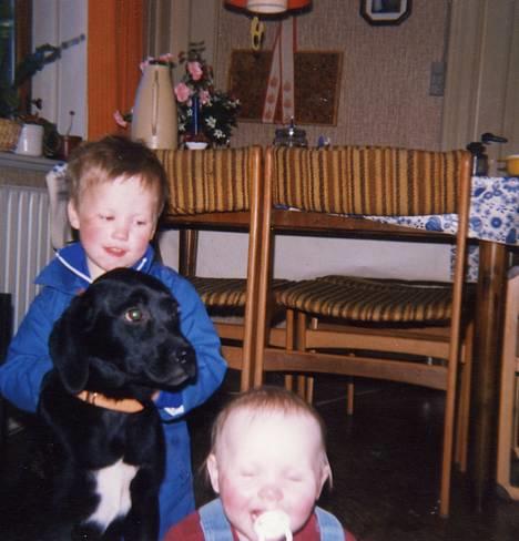 Labrador retriever Teglgaardens Lady *DØD* - Det første billede vi har af Lady. Billedet er taget samme dag, som vi fik hende. Min bror og jeg da vi var små billede 5