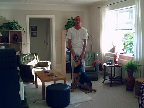 Blanding af racer simba billede 12