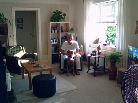 Blanding af racer simba billede 13