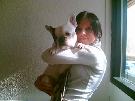 Fransk bulldog Gizmo - Gizmo og mig.. billede 5