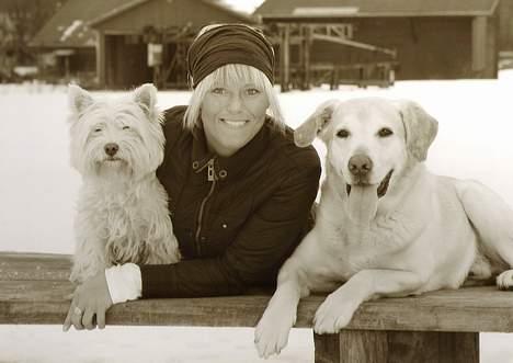 West highland white terrier Tottie - Jo Jo hvad man dog ikke stiller op til????? billede 17