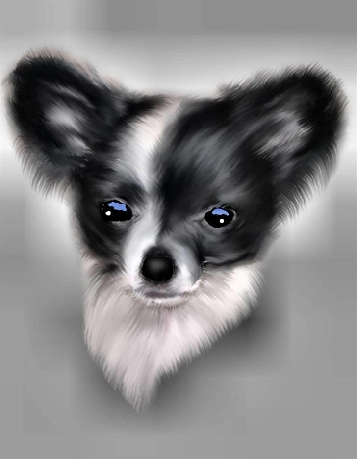 Blanding af racer Daisy - Hej....jeg er Daisy......velkommen til min profil. tegnet a mormor 130208 billede 1