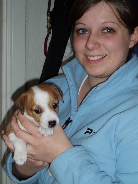 Blanding af racer Tazz - Død 20-02-07 - 5 uger gammel, sammen med mig billede 3