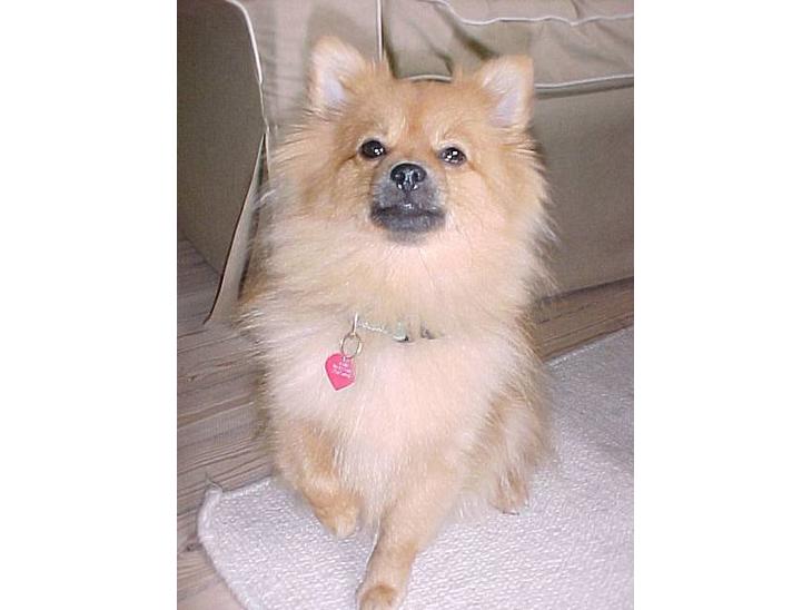 {{currentPhoto.altText}} billede {{currentPhoto.number}}