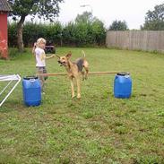 Blanding af racer BASSE