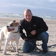 Amerikansk bulldog Morells Nala