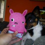 Blanding af racer Gizmo *død*