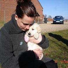 Blanding af racer Oscar