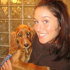 Cocker spaniel Bella aka Jelly Belly