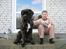 Mastiff engelsk mastiff Hogan - 8½ mdr gammel sammen med store bror