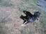 Blanding af racer Lady R.I.P - den skøre :´)