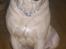 Blanding af racer Rocko