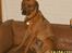 Rhodesian ridgeback Rafiki - han er glad for sin sofa