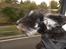 Dvaergschnauzer * ( `´SINDY`´ ) * RIP 25.07.13 - Nu må jeg passe på at ørerne ikke falder af.