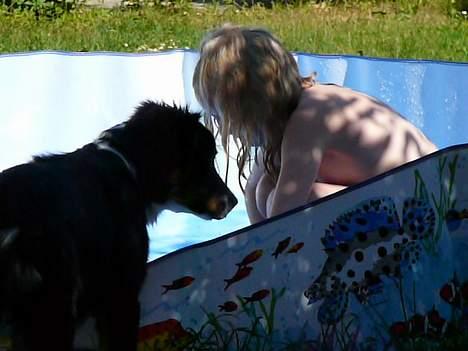 Australian shepherd *Luca* - tror jeg hellere kigger på billede 9