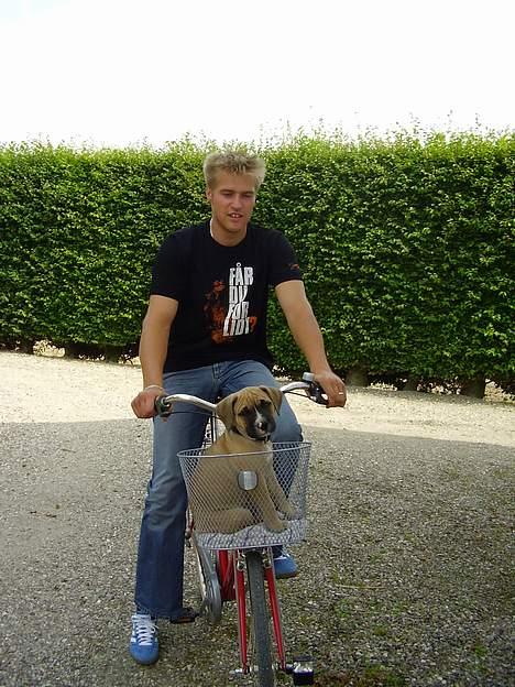 Blanding af racer Magnum billede 4