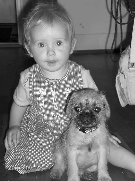 Blanding af racer Møffi - husets mindste, og hende passer jeg på... vov ;-) billede 10