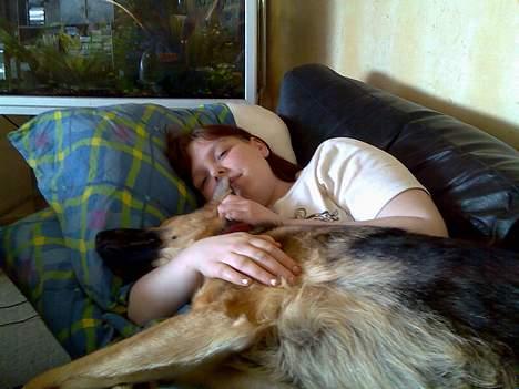 Schæferhund Nicole - Ja klø mig lige der. AHHH hvor dejligt billede 5