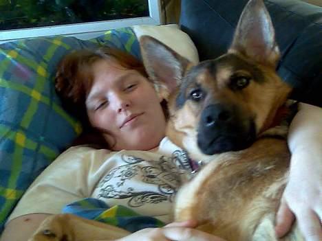 Schæferhund Nicole - Tager du nu billeder igen mor ,- ih altså billede 6