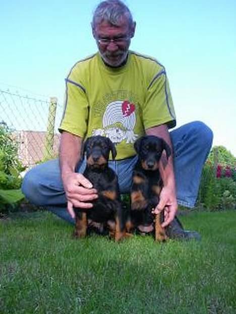 Dobermann Eden´s Andor *Ando* - Ando og Brormand.. billede 6