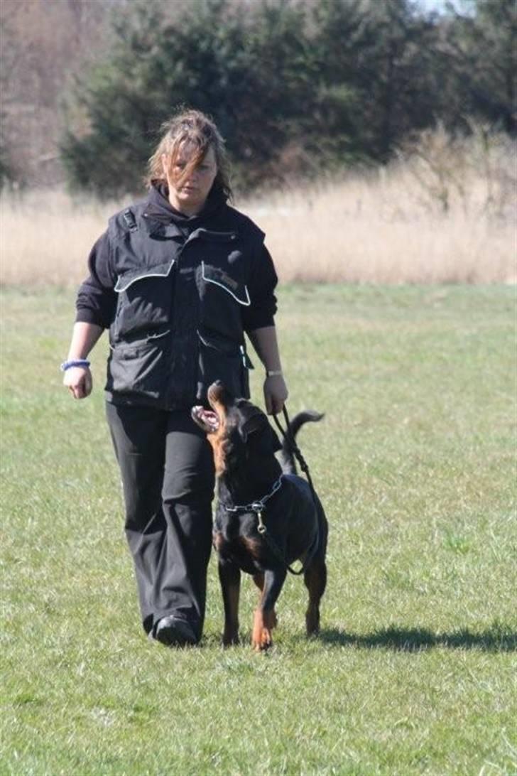 Rottweiler *Nala*  R.I.P. billede 19