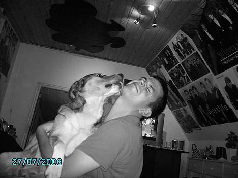 Blanding af racer Julle - kæresten bliver lige overfaldet..  billede 15