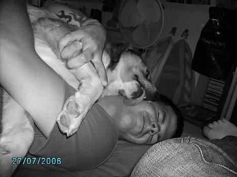 Blanding af racer Julle - kæresten bliver lige overfaldet..  billede 16