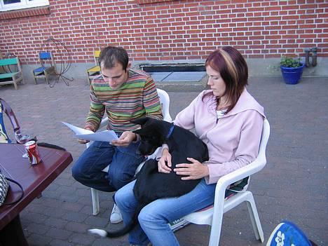 Blanding af racer Julius - Julius 4 månder.  billede 2