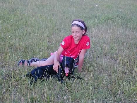 Blanding af racer Buller billede 15